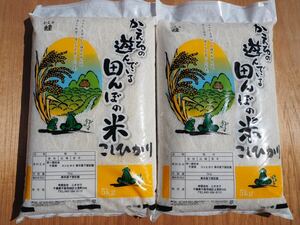 米 千葉県産 コシヒカリ　乾式無洗米 10kgお米 無洗米
