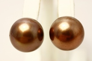 タヒチ黒蝶真珠パールピアス　14mm　チョコレートカラー　K18製