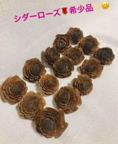 希少品♡薔薇の花びらのよう【⑦シダーローズ】15個   直径50mm前後