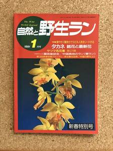 自然と野生ラン 1991年2月号　エビネ ウチョウラン 長生蘭 ユリ ※ 園芸JAPAN