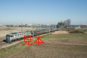 鉄道写真データ（JPEG）、00584223、EF510-509＋カシオペア、JR東北本線、新白岡〜白岡、2016.03.17、（7360×4912）