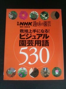 Ba1 12285 別冊 NHK 趣味の園芸 監修/小笠原誓 栽培上手になる！ビジュアル園芸用語530 植物の分類/名前/形、暮らし方/環境/肥料 他