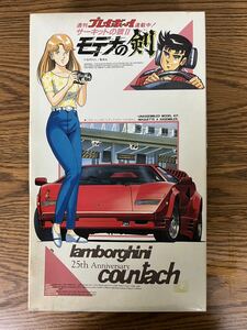 【未組立】モデナの剣 サーキットの娘Ⅱ lamborghini25th Anniversary countachランボルギーニアニバーサリーカウンタック 1/24プラモデル 