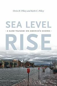 [A12265122]Sea Level Rise: A Slow Tsunami on America
