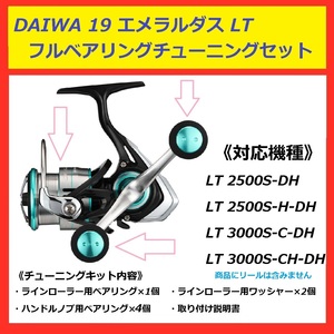 ● 送料込 DAIWA ダイワ 19 エメラルダス ダブルハンドル用 フルベアリング セット