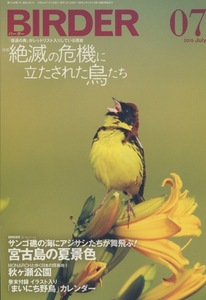 ■BIRDER　バーダー 2019.7月号［特集：絶滅の危機に立たされた鳥たち］