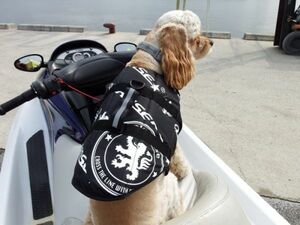 【WING】送料無料☆Quakysense☆EMBLEM DOG VEST（ドッグベスト）犬用ライフジャケットDOG315 XXS,XS,Mサイズ