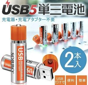 充電器・充電アダプタ不要 USB充電池 2本セット(単三充電池)