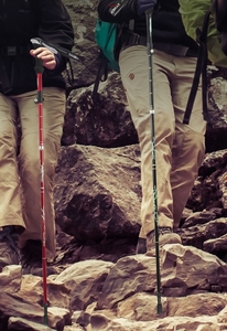 トレッキングポール 登山用ストック 折りたたみ式 超軽量 登山杖 収納ケース付き 男女兼用 X735