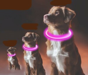 送料無料 新品 S M L サイズ 犬 首輪 光る オシャレ 充電式 LED ライト USB 充電式 ペット 小型 中型 大型 夜 散歩 プードル レトリーバー