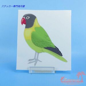 鳥のステッカー　リアルタッチ　ボタンインコ