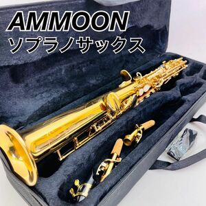 AMMOON ソプラノサックス 管楽器