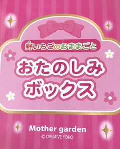 2019年 野いちごのおままごと おたのしみボックス ファーストフードセット マザーガーデン mother Garden