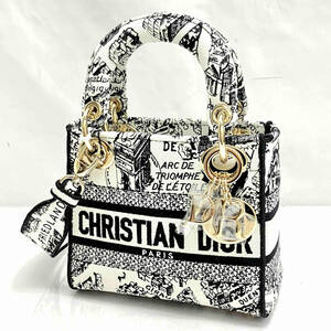 箱 保存袋 鑑定書 付 Christian Dior クリスチャンディオール LADY D-LITE バッグ ミニ Plan de Paris エンブロイダリー