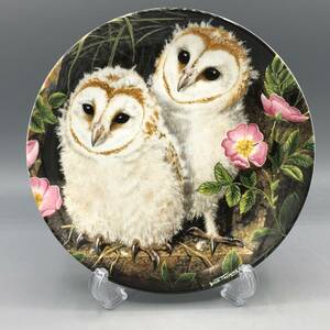 英国 ウェッジウッド メンフクロウ 梟 フクロウ 鳥 飾り皿 絵皿 皿 ⑤⑤⑤ (1)