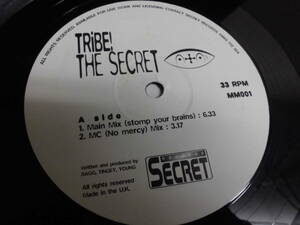 THE SECRET/TRIBE!/3386
