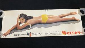 6565/ さくらカラー ポスター / 水着 ビキニ モデル名不明 / サイズ 364mm×1030mm