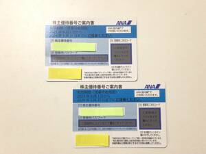 ☆ANA株主優待券　２枚セット　有効期間　2023年6月1日から2024年5月31日まで☆