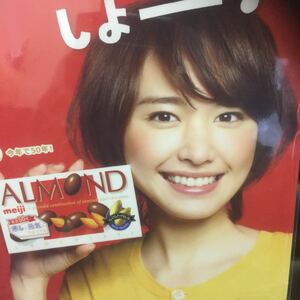 未使用★新垣結衣 ガッキー★非売品クリアファイル 明治アーモンド50周年★A4サイズ