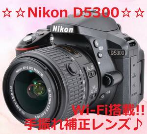 ショット数10980回!!たった11％使用率 Nikon D5300 #6160
