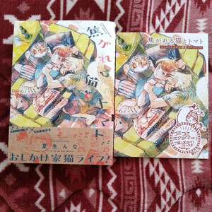 新品購入一読★新刊BLコミ★焦がれる猫とトマト★夏生んな★帯有リーフレット付★1.4センチ★コミコミスタジオ