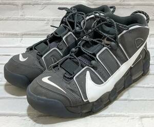 NIKE / ナイキ / DQ5014-068 / AIR MORE UPTEMPO COPY PASTE / スニーカー / 28cm / グレー / ホワイト