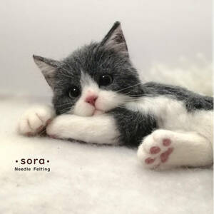 sora 羊毛フェルト グレー 白 ハチワレ 子猫 まったり 猫 