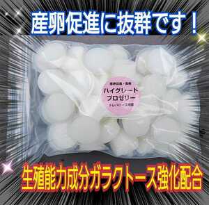 ハイグレードプロゼリー【50個入】トレハロース強化！　クワガタ・カブトムシの産卵数アップ・長寿効果に抜群！　食べやすいワイドカップ　