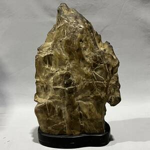 【観賞石】亀甲石 自然石 盆石 台付き 水石 床石 飾り物 オブジェ 天然石 重さ(約)14kg