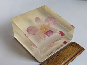 HORCID シンガポール　東洋蘭　花のアクリルキューブ　ホーシッド　東洋ラン SINGAPORE