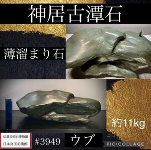 【水石復興イベント】 水石 盆栽 神居古潭石 ウブ 横35×高12(cm) 11.56kg 骨董盆石古美術鑑賞石観賞石太湖石中国古玩 3949