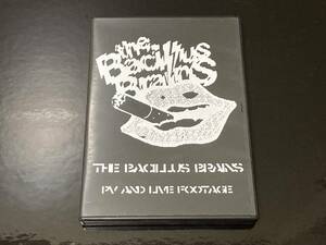 THE日本脳炎「PV AND LIVE FOOTAGE」THE BACILLUS BRAINS じゃじゅうか Slowmotions EXCLAIM THEクルマ【即発送】