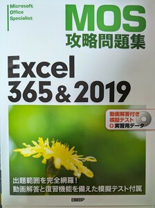 ＭＯＳ攻略問題集Ｅｘｃｅｌ　３６５＆２０１９　Ｍｉｃｒｏｓｏｆｔ　Ｏｆｆｉｃｅ　Ｓｐｅｃｉａｌｉｓｔ 土岐順子／著