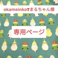 レジンハンドメイドインコちゃんシリーズ〜オカメインコさん＆セキセイインコさん