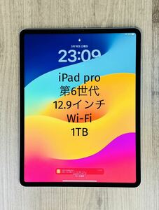 iPad pro 12.9インチ 第6世代 Wi-Fi 1TB