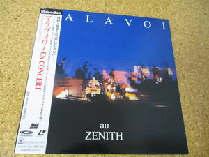 ◎Malavoi　マラヴォワ★En Concert Au Zenith/日本レーザーディスク Laserdisc 盤☆帯、シート