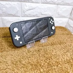 【Switch lite】Nintendo Switch lite 本体のみ