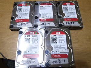 WD RED 2TB HDD 5個セット//WD20EFRX 5個　NASware 3.0/3.5インチ　NAS HDD