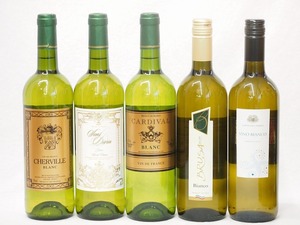 ワインセット セレクションセレクト 白ワイン 5本セット ( フランスワイン 3本 イタリアワイン 2本)計750ml×5本