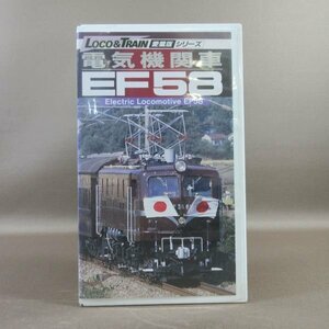 M688●TEVJ-39019「LOCO＆TRAIN愛蔵版シリーズ 電気機関車 EF58」VHSビデオ 小学館プロダクション テイチク