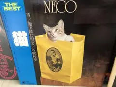 猫　レコード