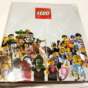 ★即決★LEGO ミニフィグ 2リングファイル フランケンバイキングファラオサーファー女優野球レゴランドレゴブロックニンジャゴーレゴランド