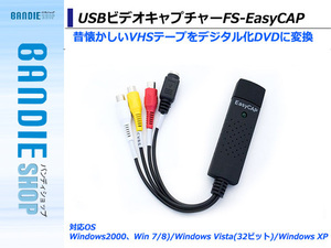 VHS 8mm ビデオテープをDVDにデジタル変換 アナログをデジタル映像に ダビングパソコン取り込み USBビデオキャプチャー FS-EasyCAP Windows