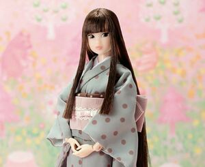 ★petworks ペットワークス きもの春祭 CCS 15SP momoko kimono 本体のみ