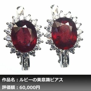 【1円新品】イケゾエガレ｜6.00ct 天然ピジョンブラッドルビー ダイヤモンド K14WG仕上ピアス｜作家モノ｜本物保証｜NGL鑑別対応