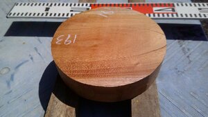 17-98　老木欅（ケヤキ）の乾燥丸材（６寸）・・丸盆・菓子器・皿・ロクロ・挽きもの