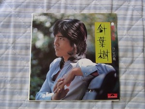 20円即決：野口五郎：シングルレコード大量出品 　針葉樹　整理番号2