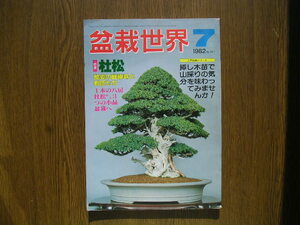 ∞　盆栽世界　1982年7月号　№１４７　樹石社、刊、刊　●濡れシミ跡有り・“ジャンク出品”です●