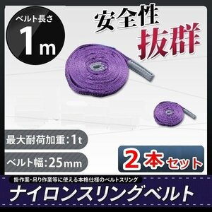 全国一律【送料無料】ナイロンスリングベルト 1m 幅25mm 荷重1000kg 1ｔ ベルトスリング 【2本入り】玉掛け 吊上げ ロープ 牽引 運搬 移動