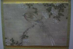 明代 花鳥図 十七世紀 中国